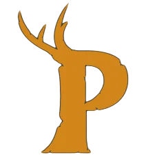 Palworld Sunucu Paket 1