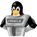 oracle işletim sistemi
